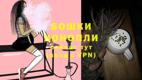 PSILOCYBIN Гусев